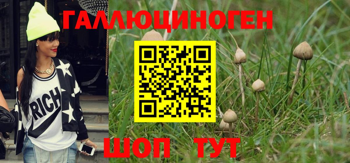 Псилоцибиновые грибы Cubensis Кириши