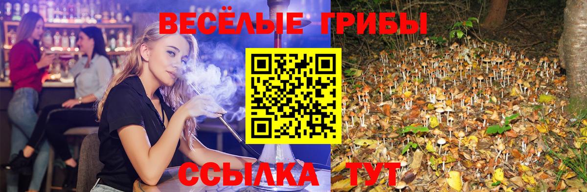 Кириши  Галлюциногенные грибы Psilocybine cubensis  Вход с VPN 